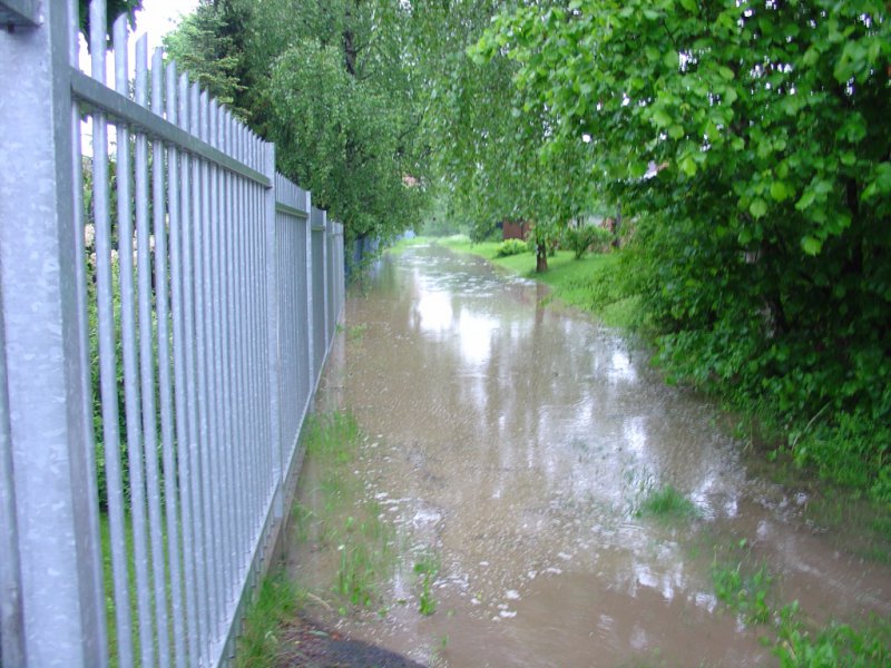 DSC02997