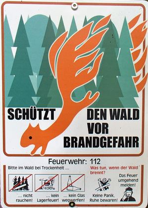 Schutz dem Wald