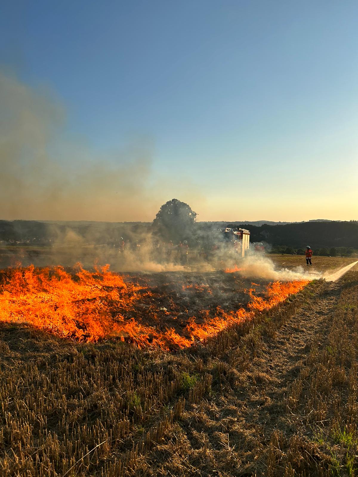 1 Flächenbrand